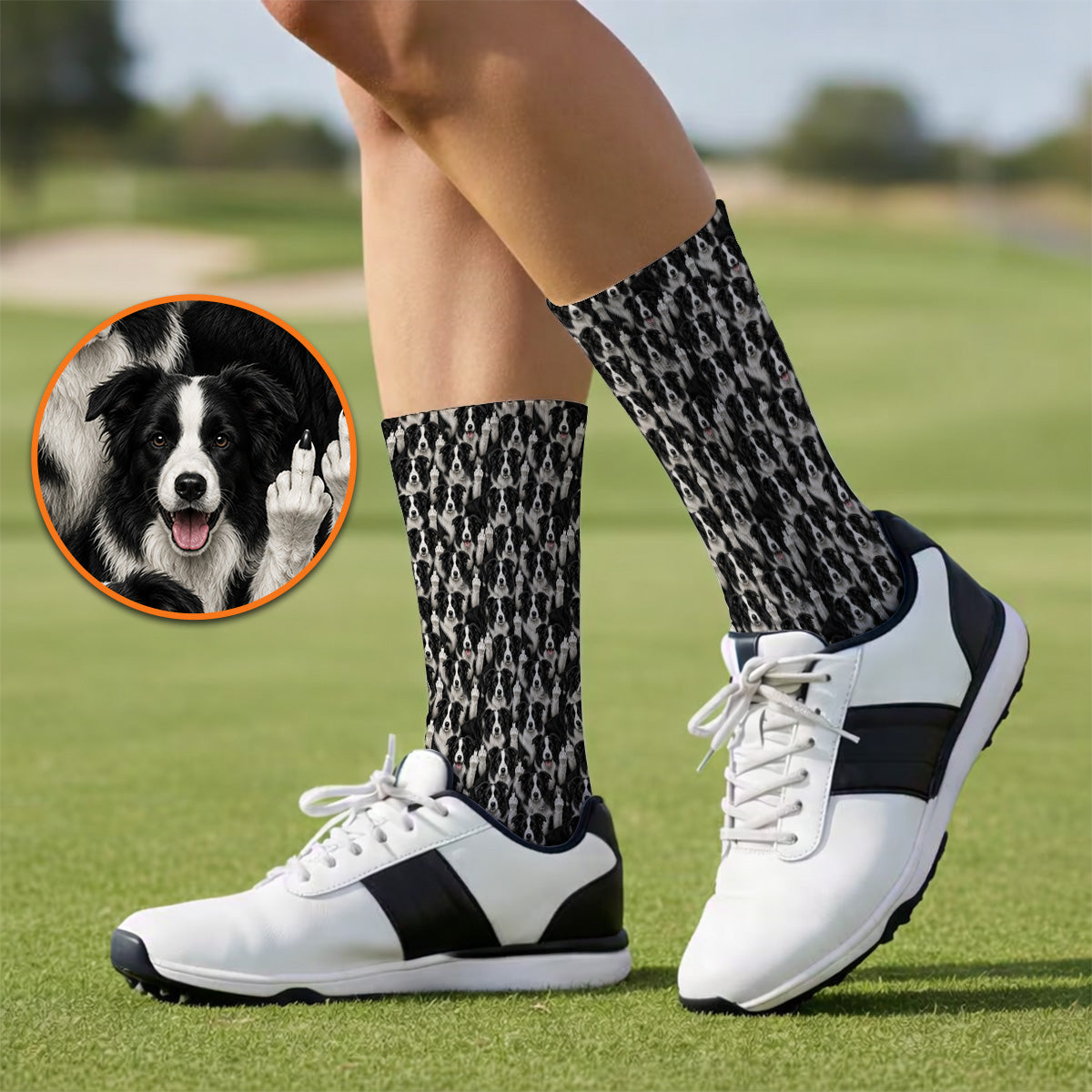 Crayzy Border Collie Golf Socks, Border Collie Pattern Golf Sock for Golfer, Dog Lovers Golf Gift